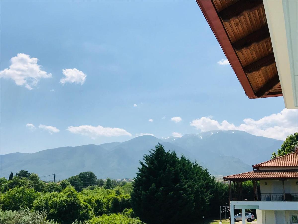 플라카 리토코로우 Dimeli 1 아파트 외부 사진